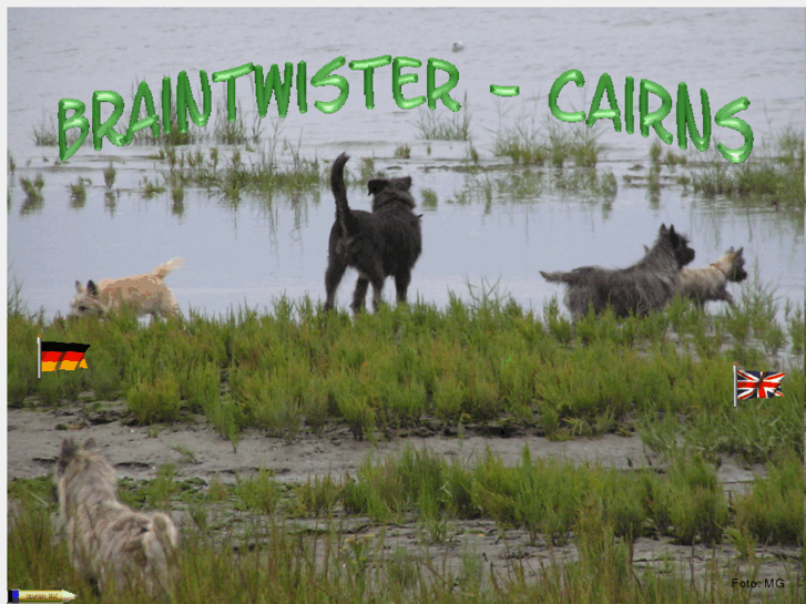 www.braintwister-cairns.com