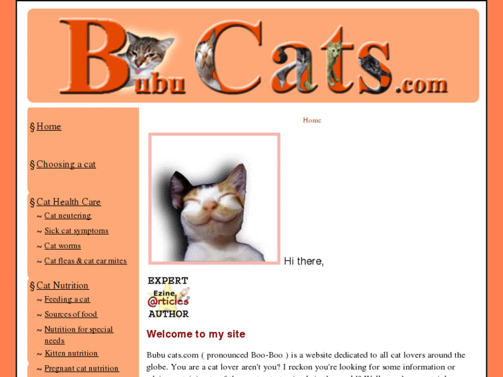 www.bubucats.com