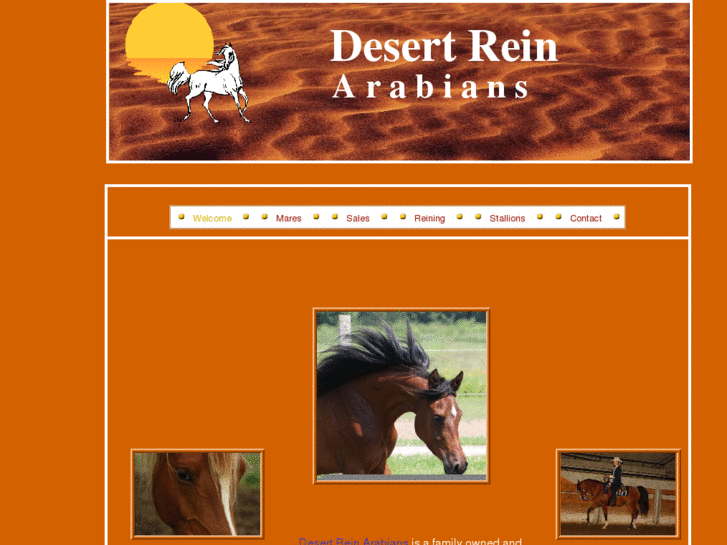 www.desertreinarabians.com