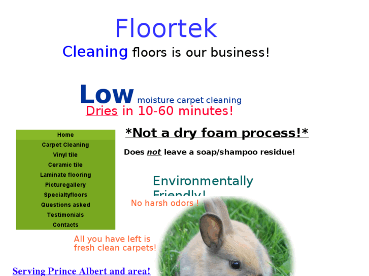 www.floortek.biz