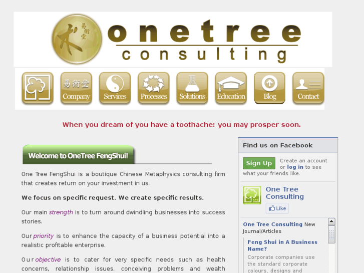 www.onetreeconsulting.com