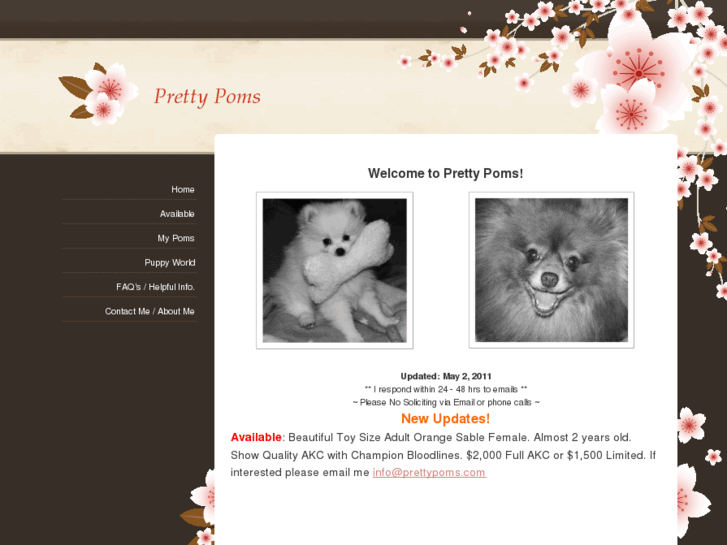 www.prettypoms.com