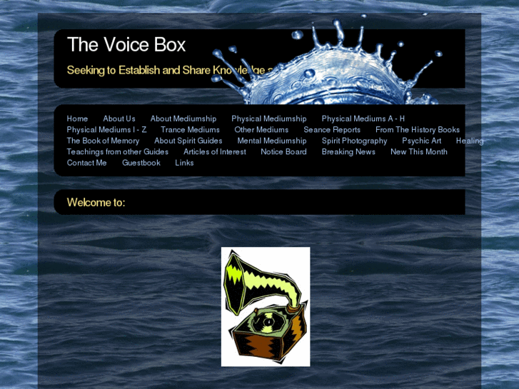 www.thevoice-box.com