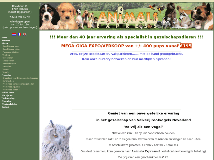 www.animals-express.com