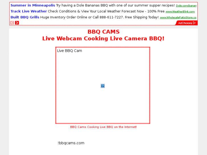 www.bbqcams.com