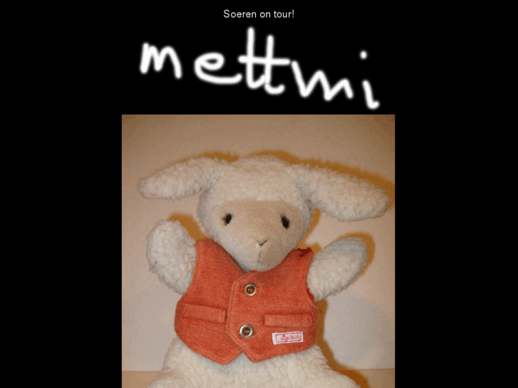 www.mettmi.com