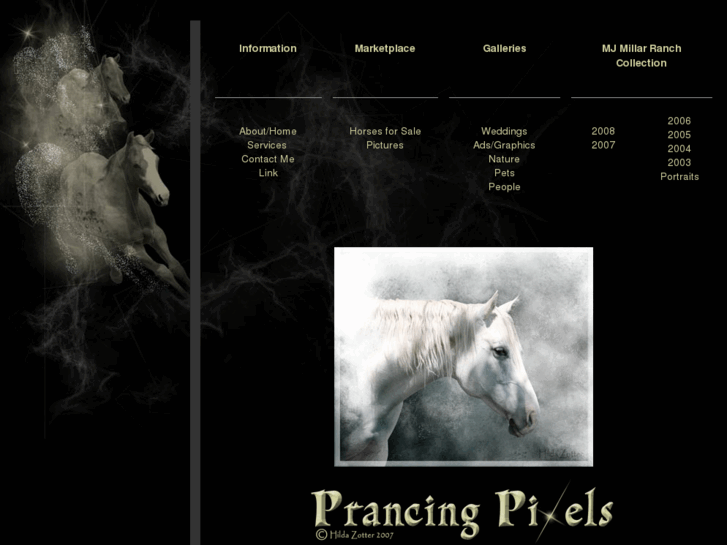 www.prancingpixels.com