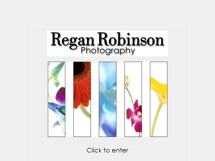 www.reganrobinson.com