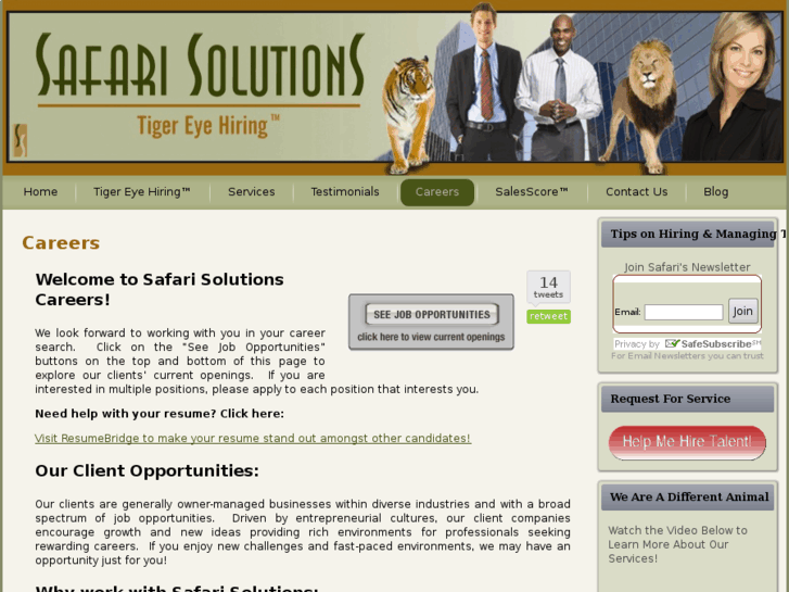 www.safarihiring.com