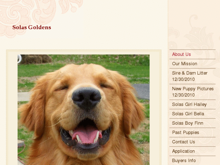www.solasgoldens.com