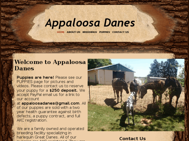 www.appaloosadanes.com