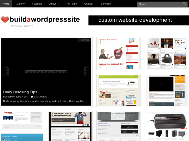 www.buildawordpresssite.com