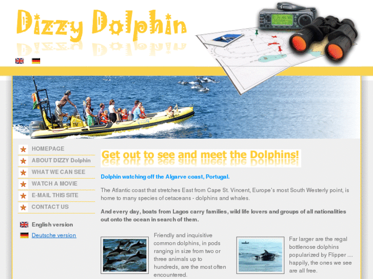 www.dizzydolphin.com