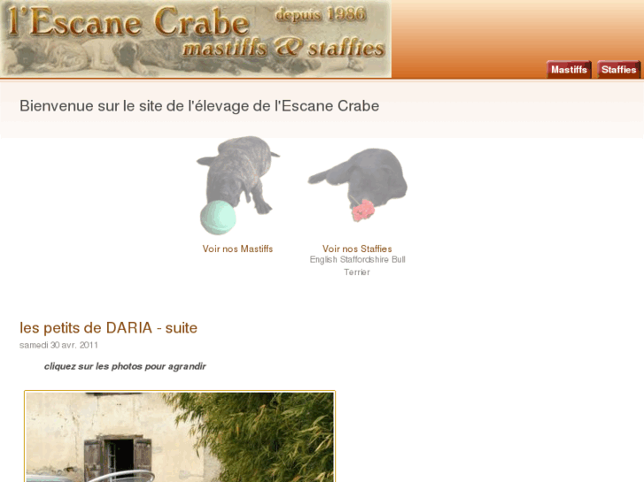 www.escane-crabe.com