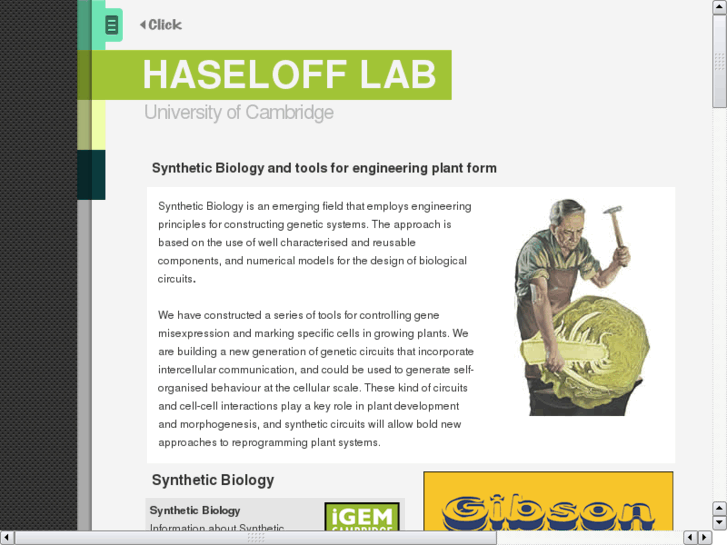 www.haseloff-lab.org