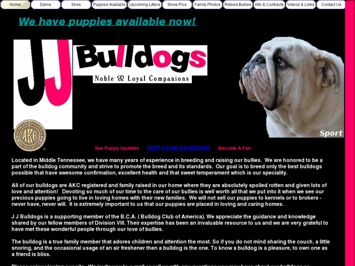 www.jjbulldogs.com