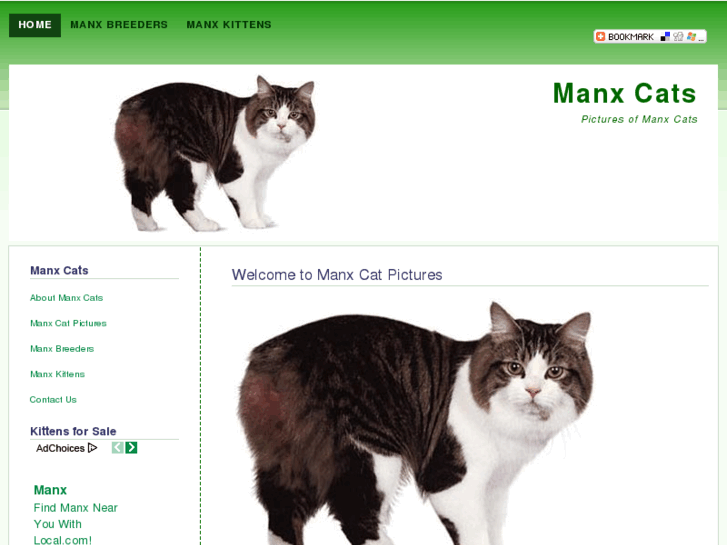 www.manxcatpictures.com