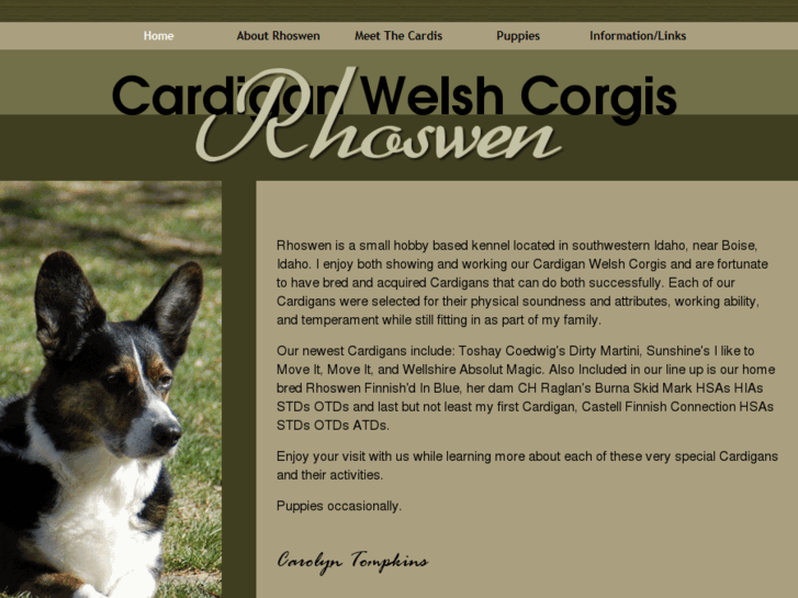 www.rhoswencardigancorgis.com