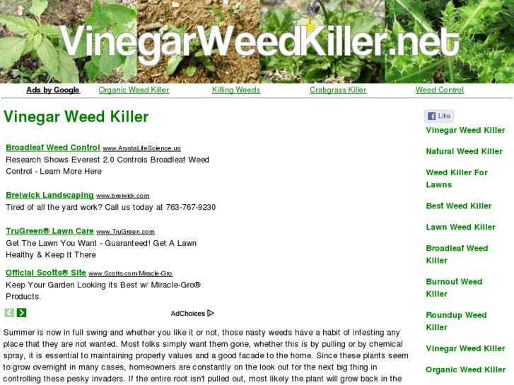 www.vinegarweedkiller.net