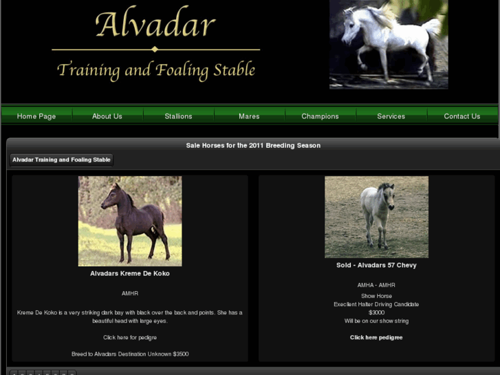 www.alvadar.com