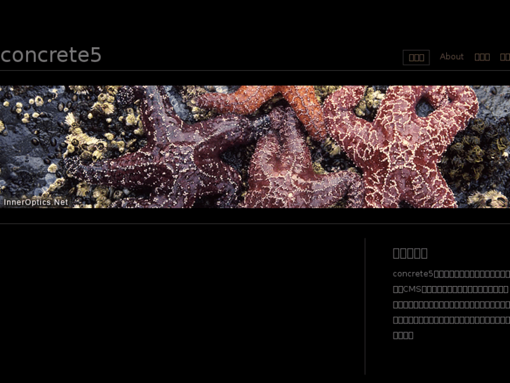 www.ansin-net.info