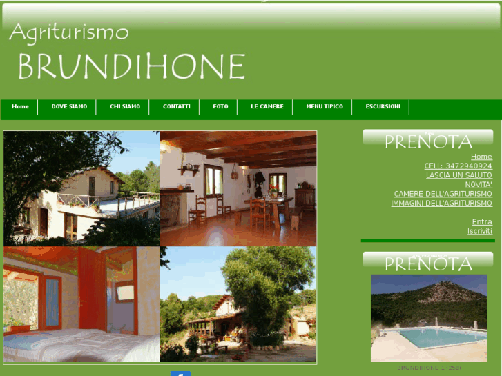 www.brundihone.com