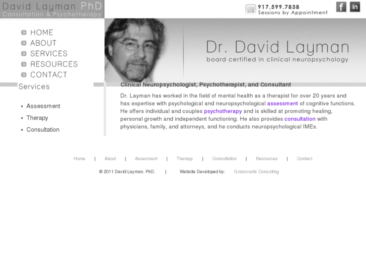 www.davidlaymanphd.com