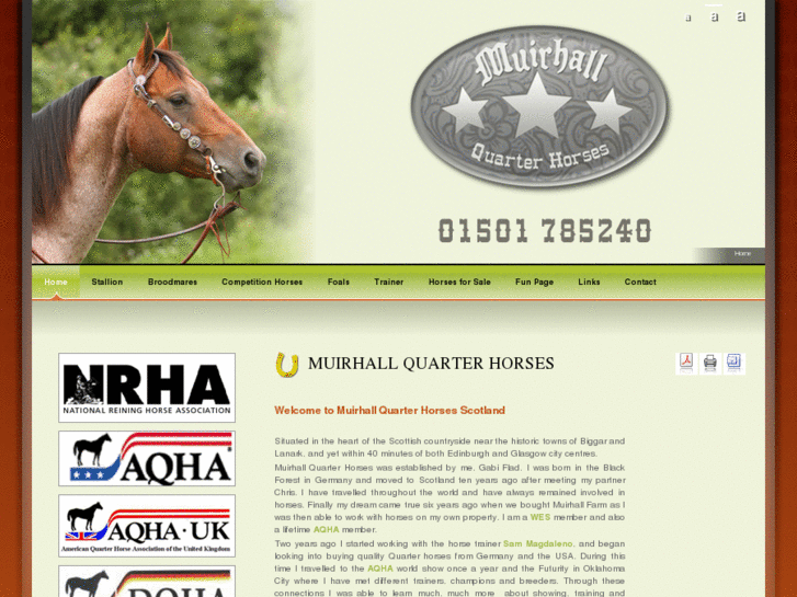 www.muirhallquarterhorses.com