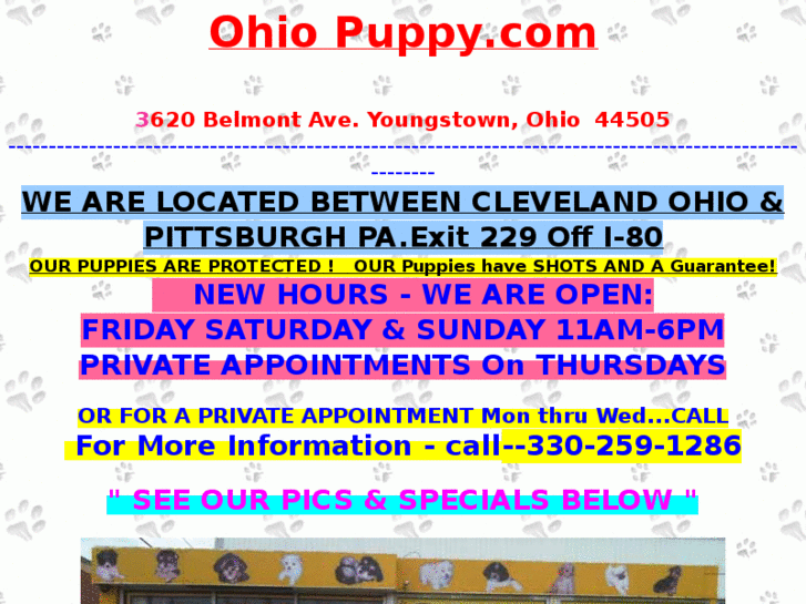 www.ohiopuppy.com