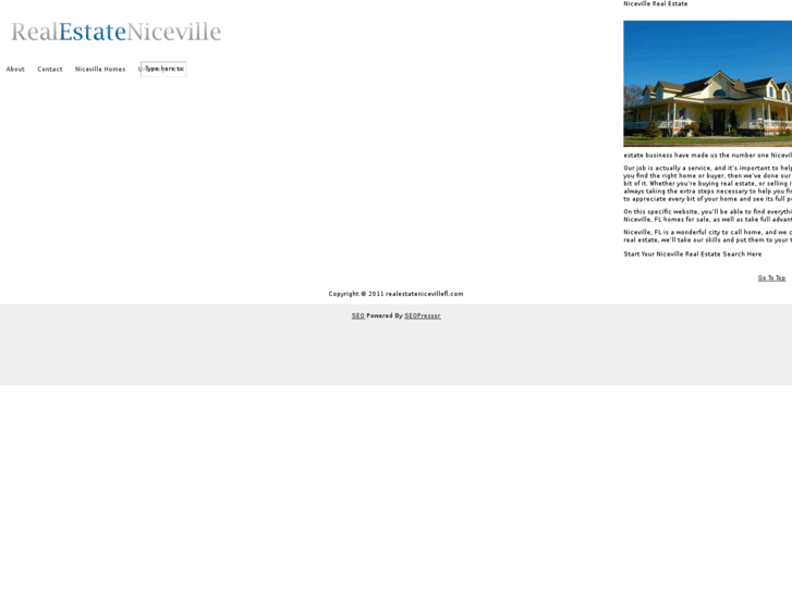 www.realestatenicevillefl.com