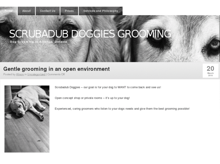 www.scrubadubdoggies.com