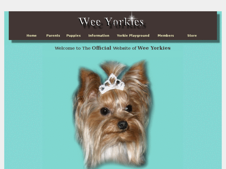 www.smallyorkie.com