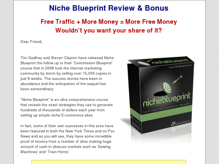 www.yournicheblueprint.com