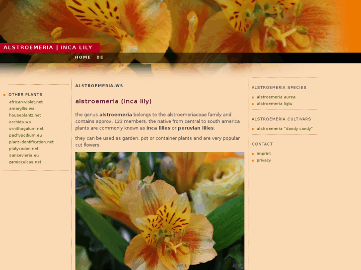 www.alstroemeria.ws