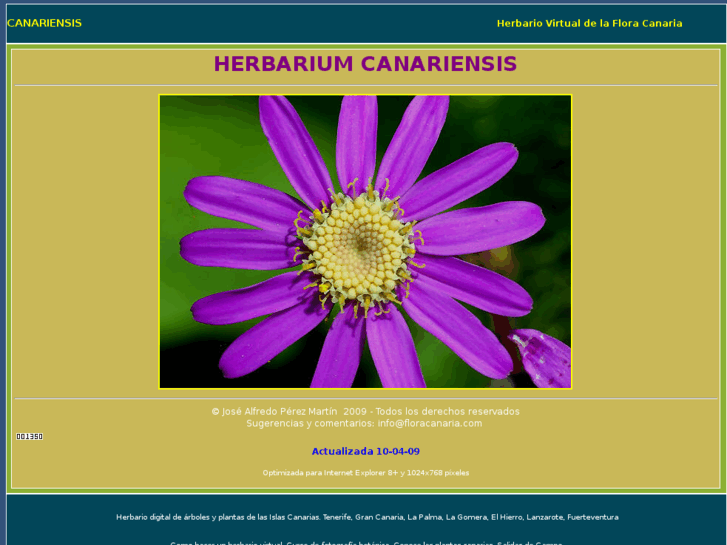 www.herbariumfloracanaria.com