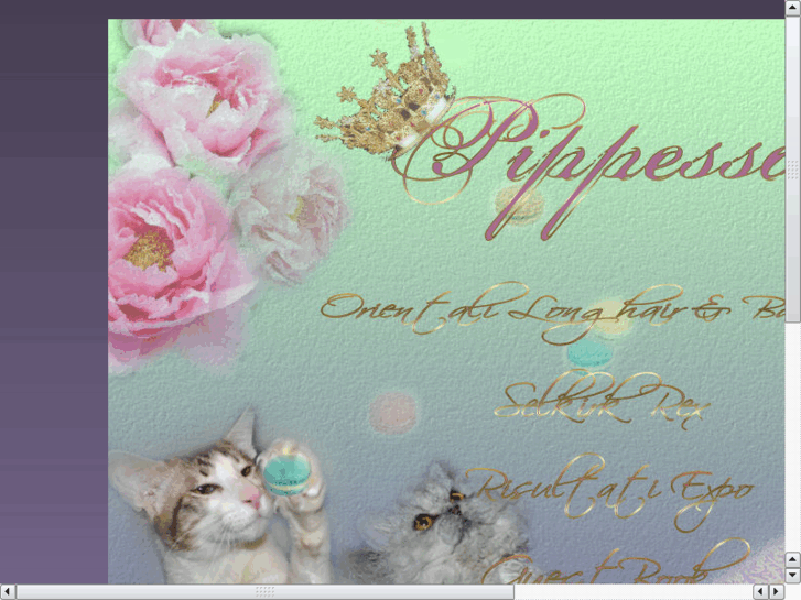 www.pippessa.com