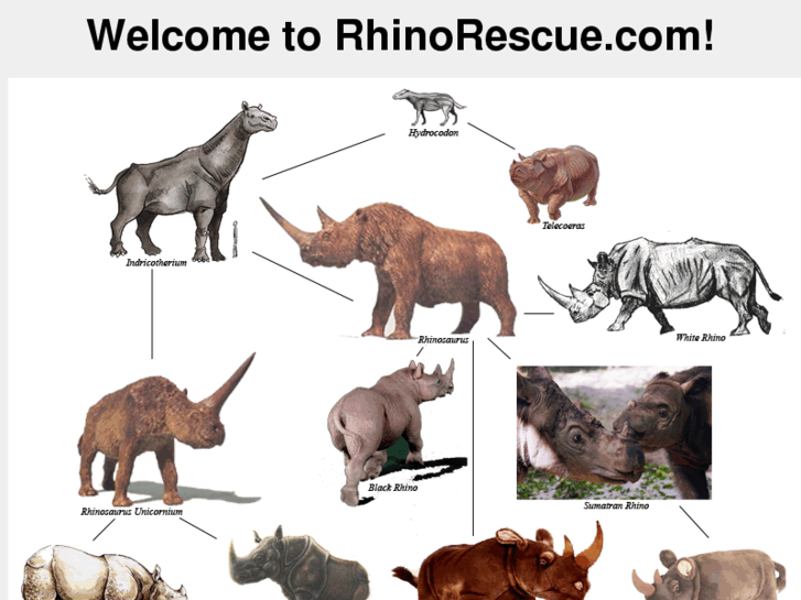 www.rhinorescue.com