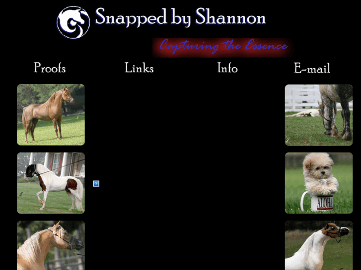 www.snappedbyshannon.com