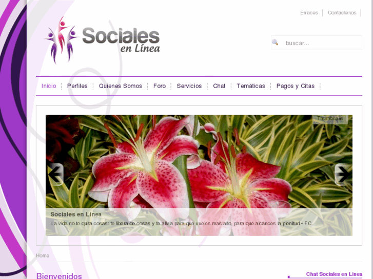 www.socialesenlinea.com