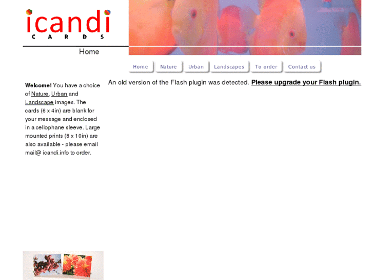 www.icandi.info