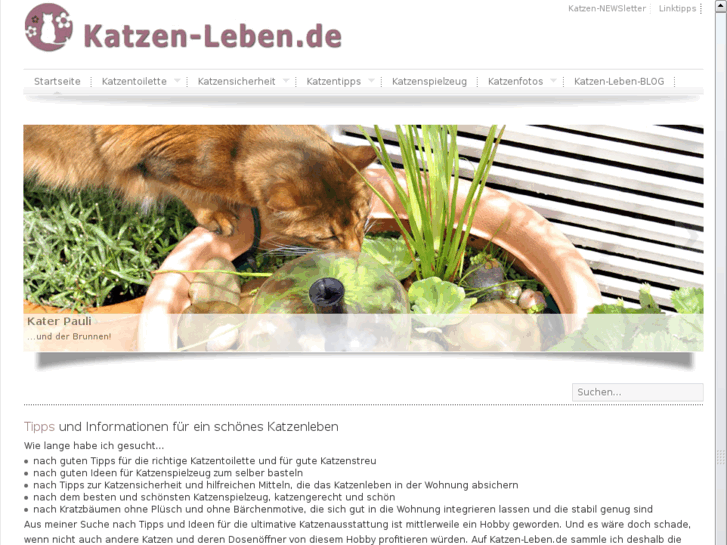 www.katzen-leben.de