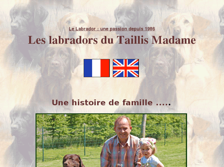 www.labradors-dutaillismadame.fr