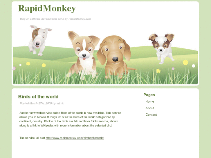 www.rapidmonkey.com