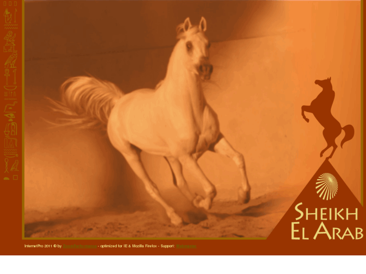 www.sheikh-el-arab-stud.com