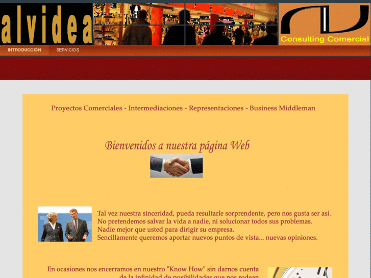 www.alvidea.es