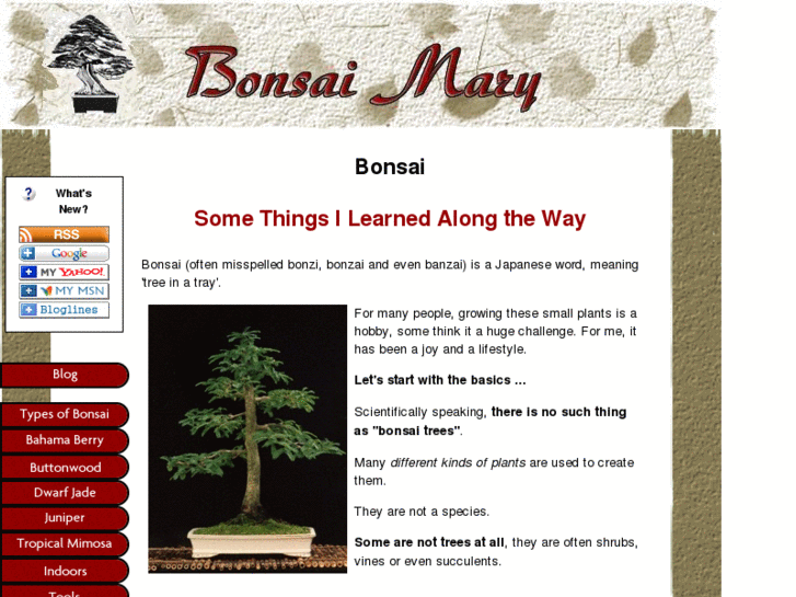 www.bonsai-mary.com