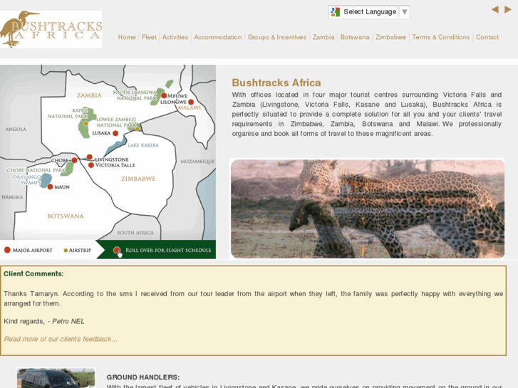 www.bushtracksafrica.com