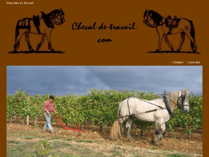 www.cheval-de-travail.com