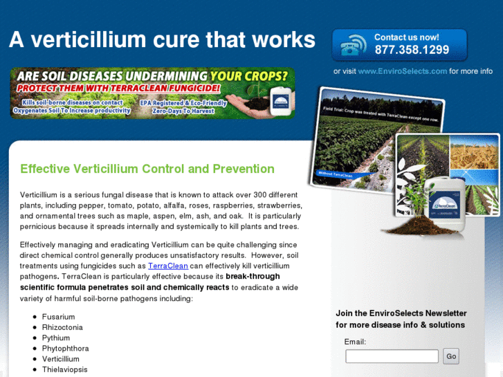 www.controlverticillium.info