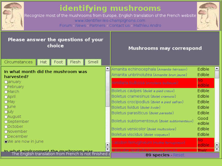 www.identifying-mushrooms.com